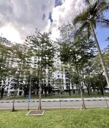 Blk 5 Teck Whye Heights I (Choa Chu Kang), HDB 3 Rooms #585030221
